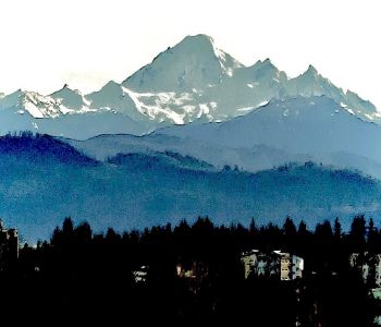 MLS# R2891964